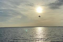 IMG-20231021-WA0002